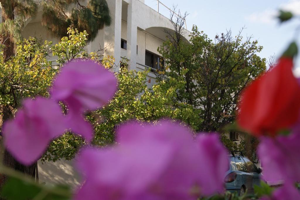 Thalassa Studios Faliraki Exteriér fotografie