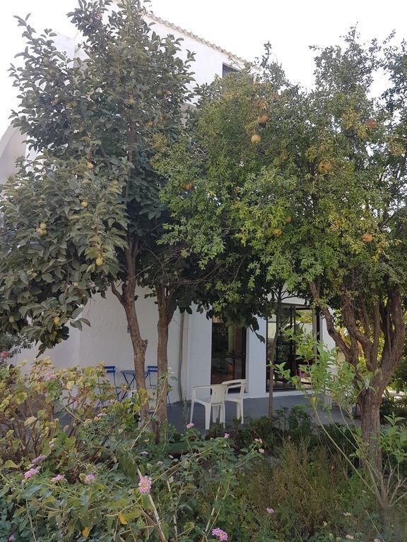 Thalassa Studios Faliraki Exteriér fotografie