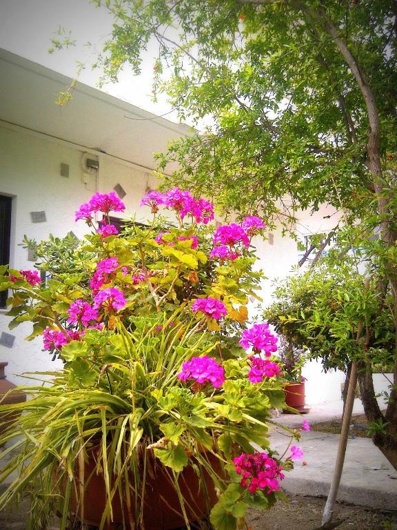 Thalassa Studios Faliraki Exteriér fotografie