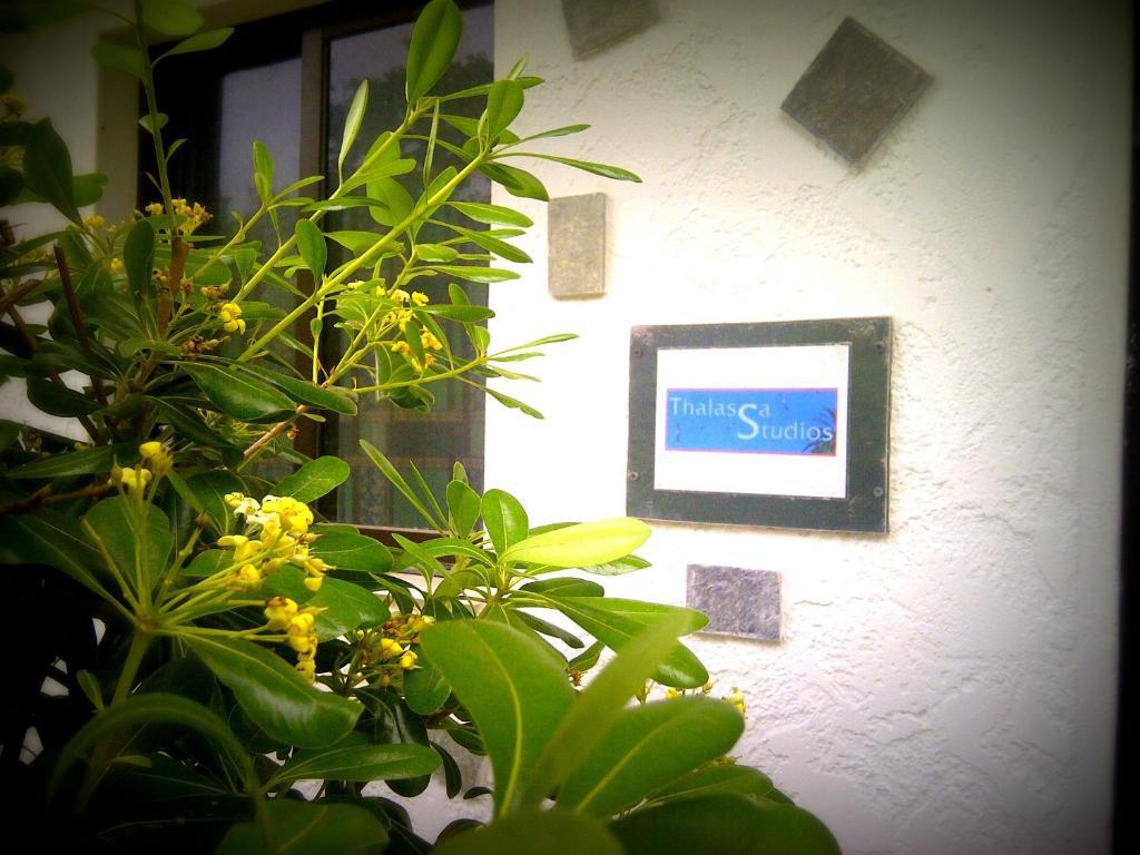 Thalassa Studios Faliraki Exteriér fotografie